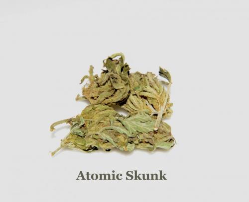 Atomic Skunk
