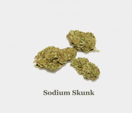 LeRiff-Sodium-Skunk